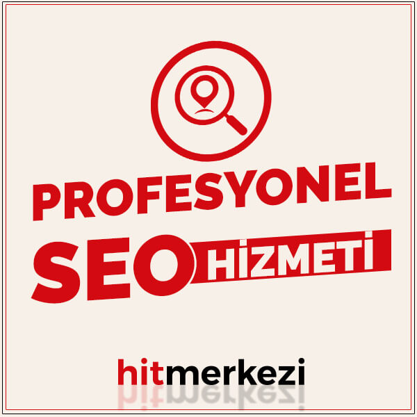 profesyonel-seo-hizmeti-1