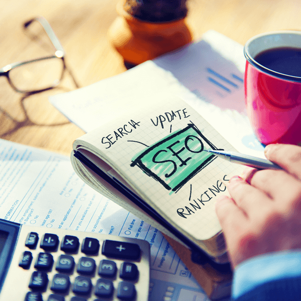 profesyonel-seo-uzmani