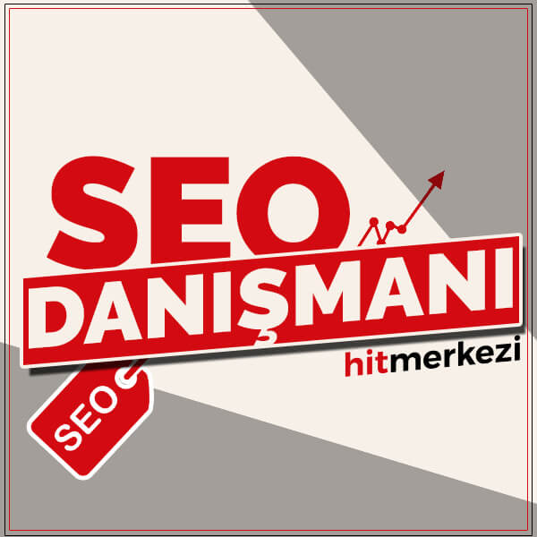 seo-danismani-1