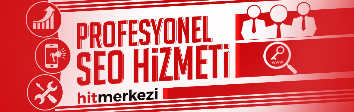 Profesyonel Seo